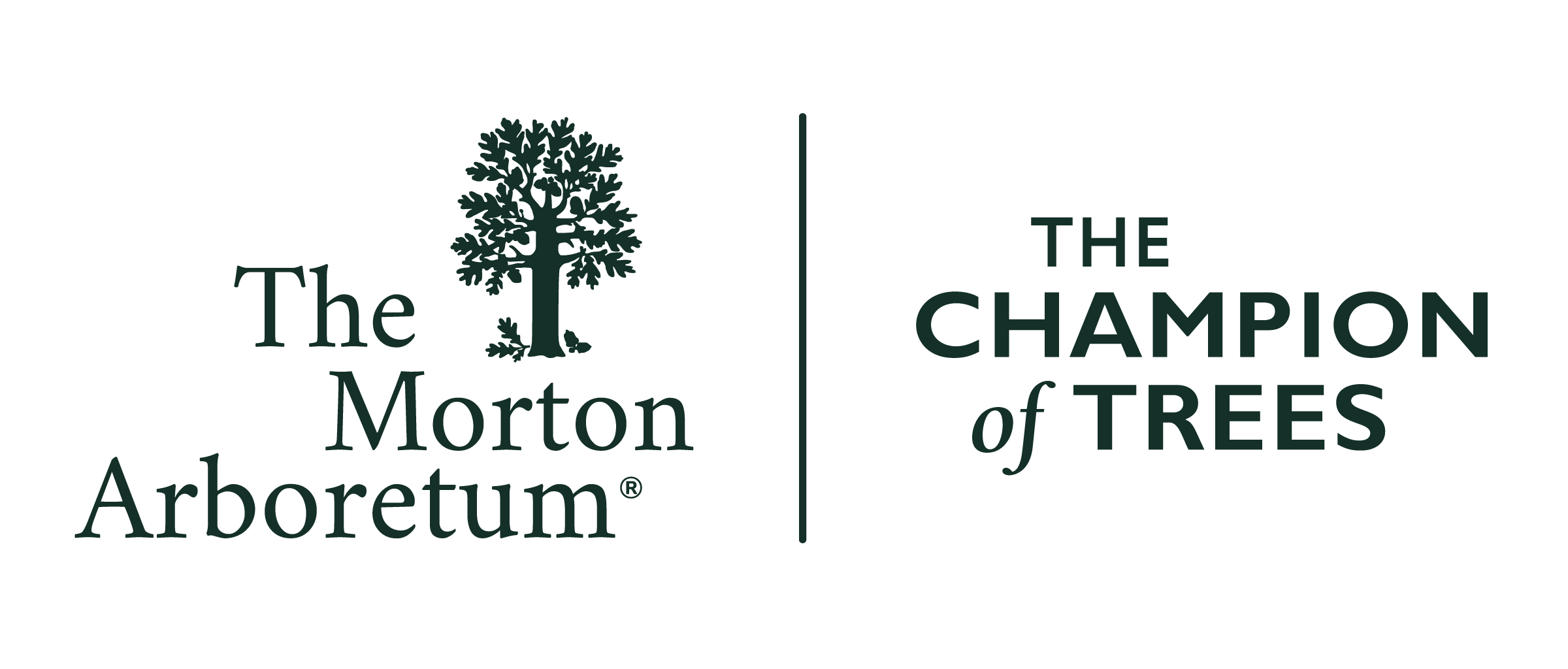 The Morton Arboretum